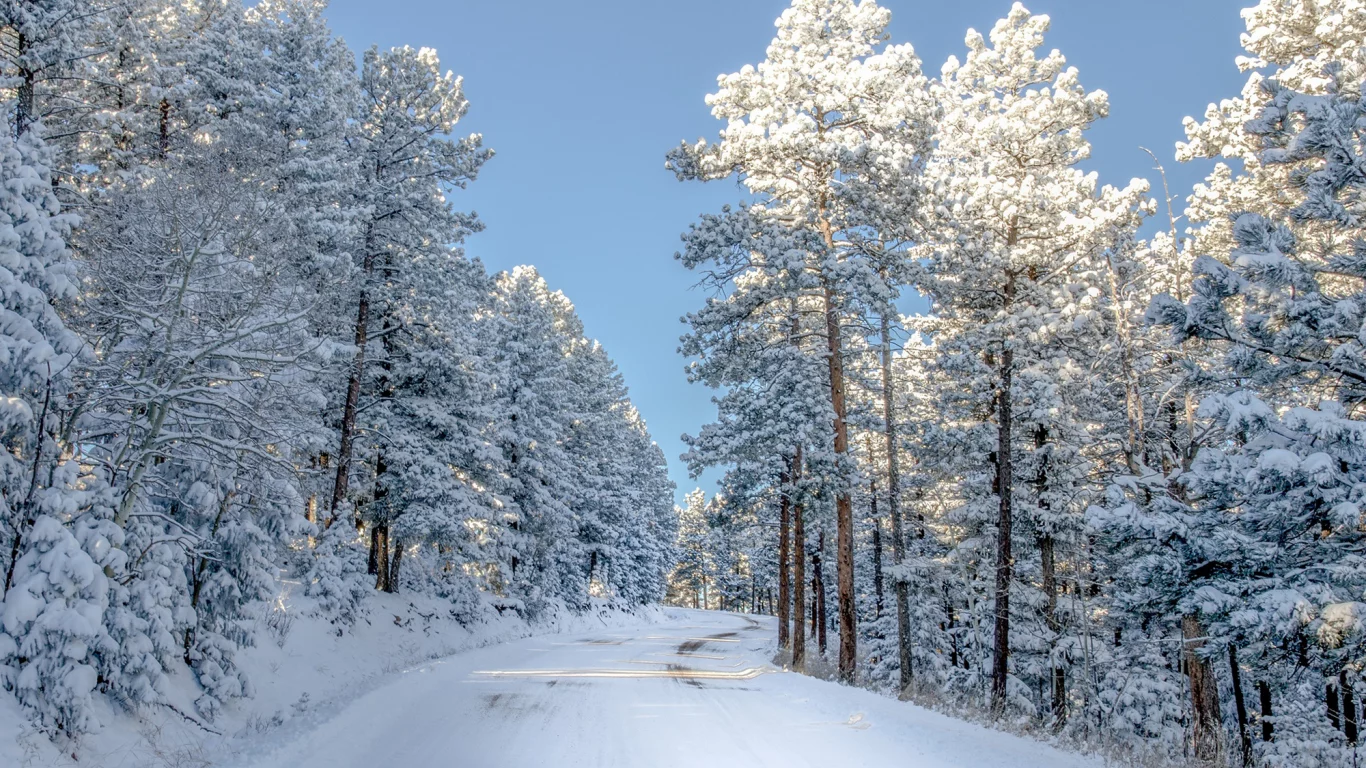 дорога, природа, снег, деревья, colorado, зима, свет