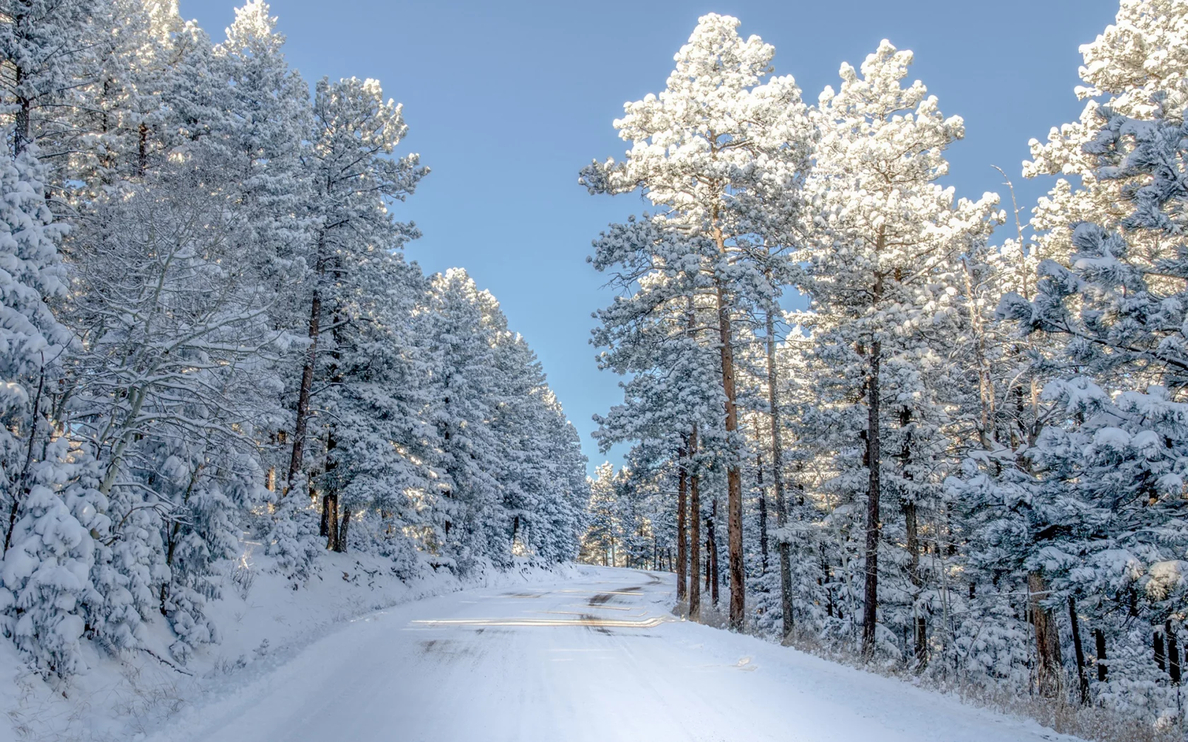 дорога, природа, снег, деревья, colorado, зима, свет