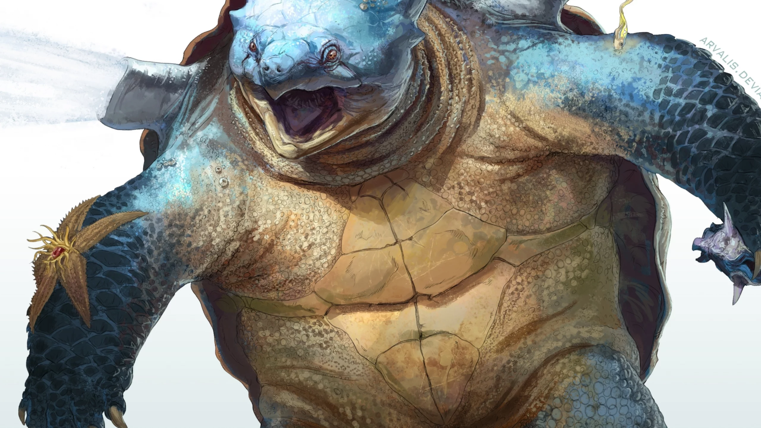 черепаха, панцирь, морской, blastoise, покемон