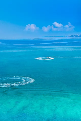 люди, море