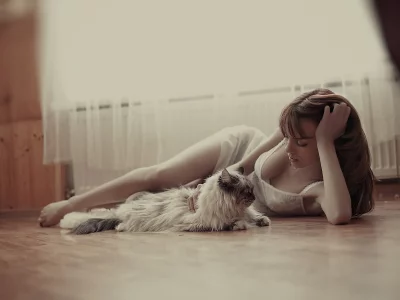 ДЕВА, КОТ