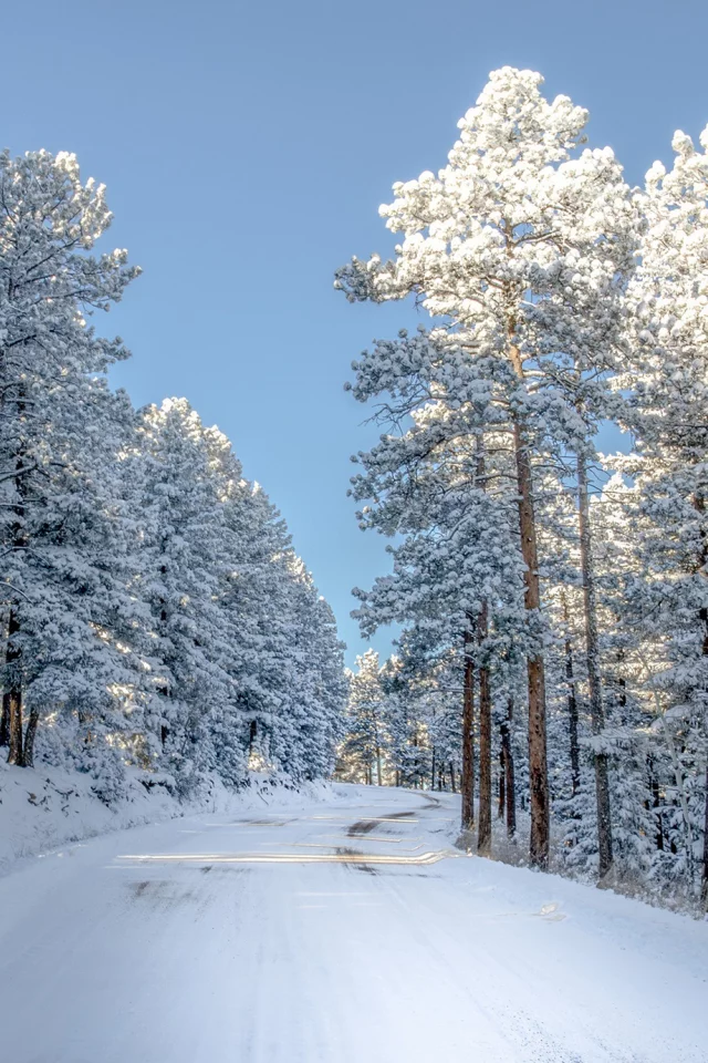 дорога, природа, снег, деревья, colorado, зима, свет