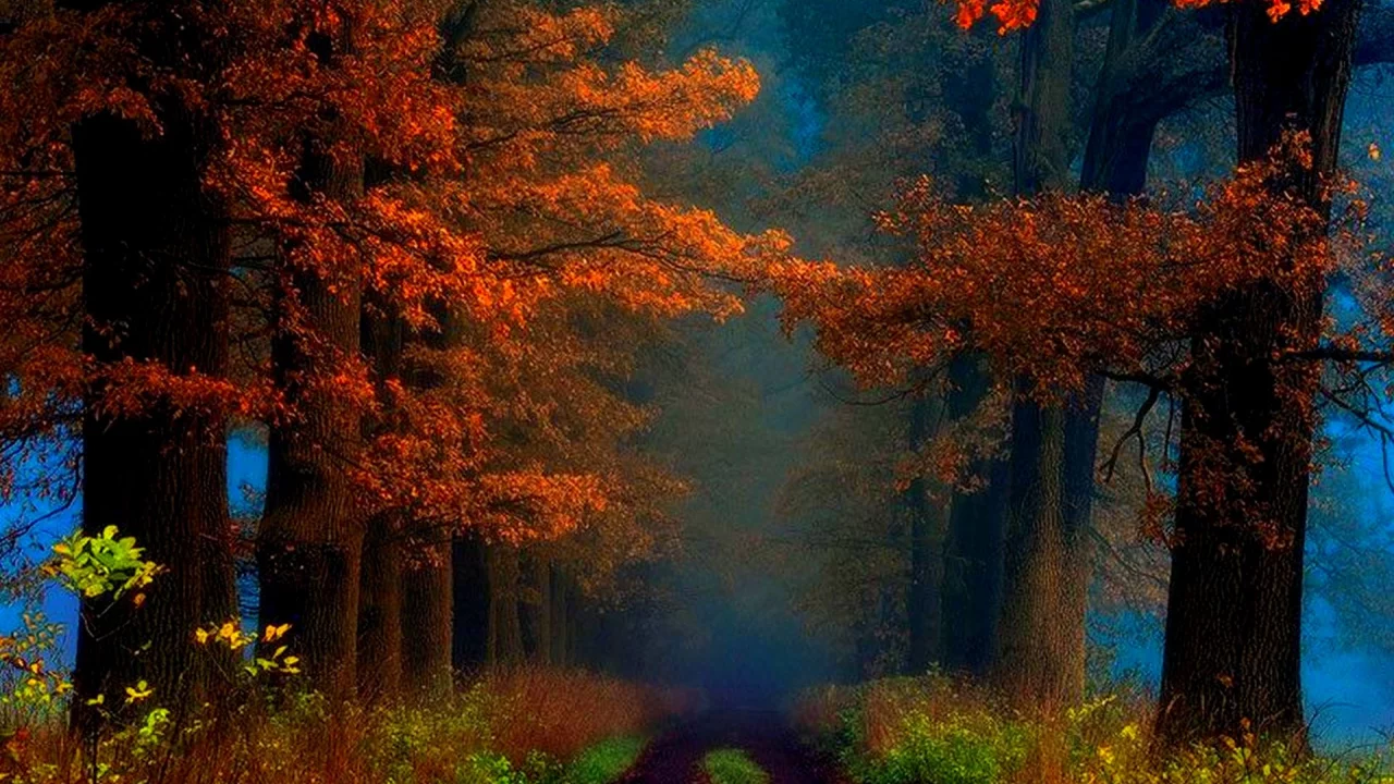 парк, лес, осень, деревья