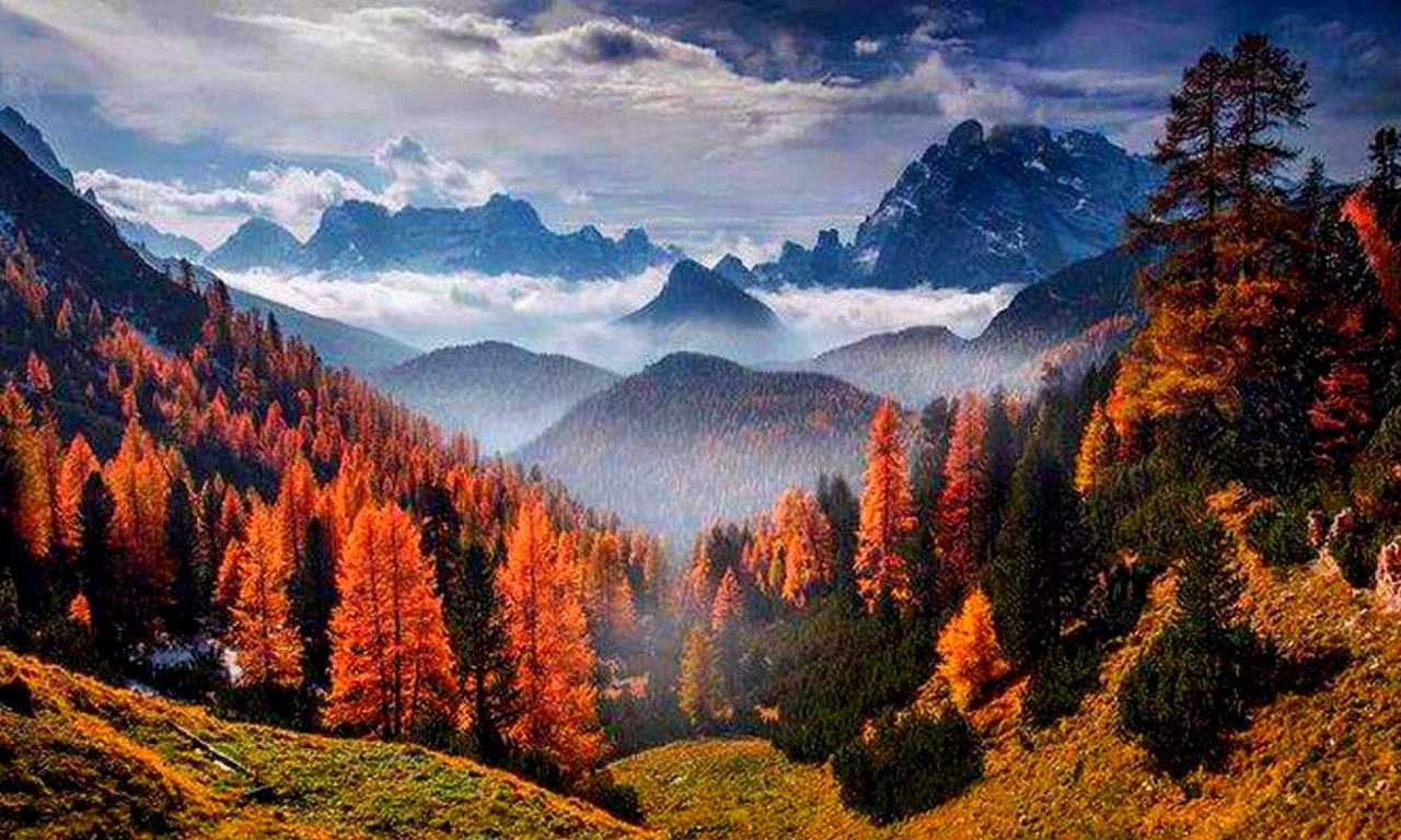 горы, солнце, облака, лес, деревья