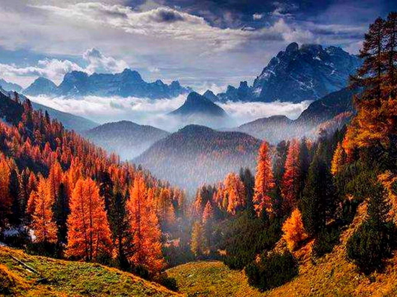горы, солнце, облака, лес, деревья