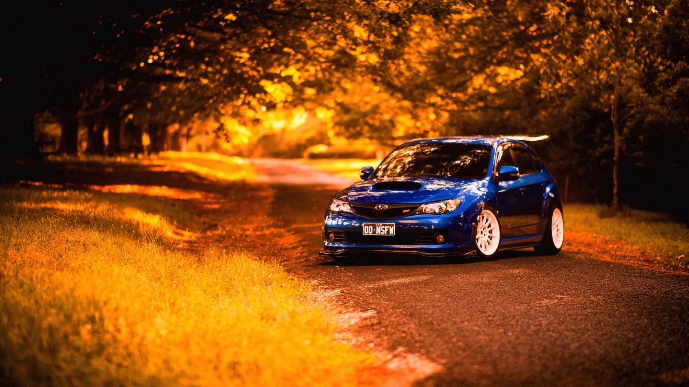 subaru, авто, осень, дорога, лес