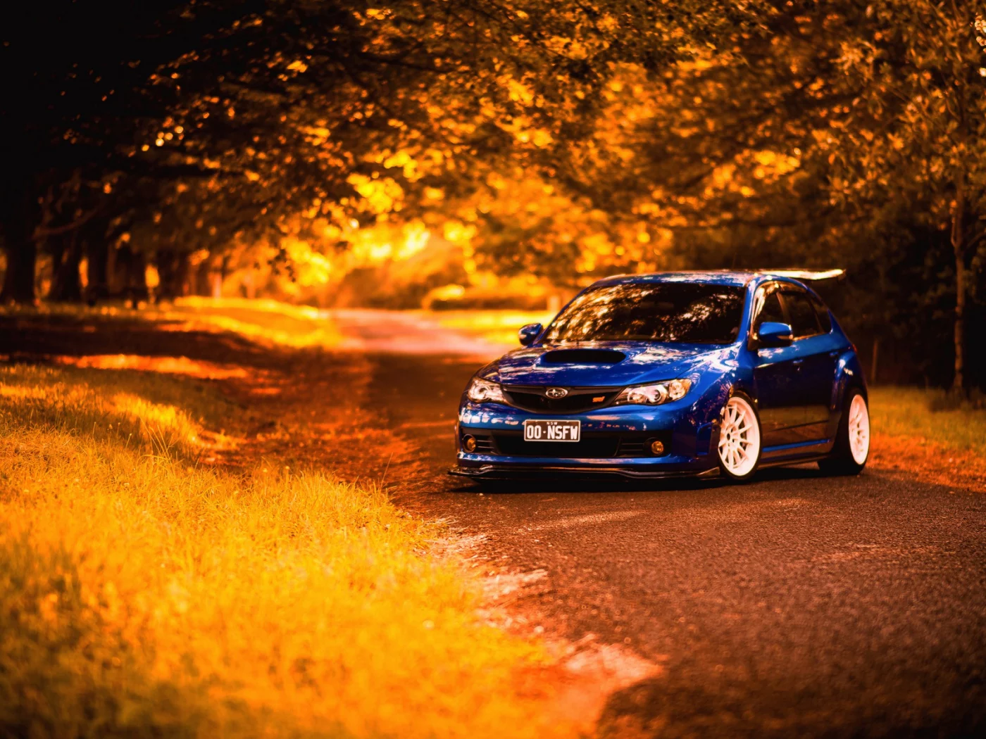 subaru, авто, осень, дорога, лес