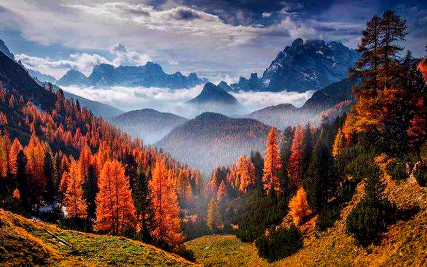 горы, солнце, облака, лес, деревья