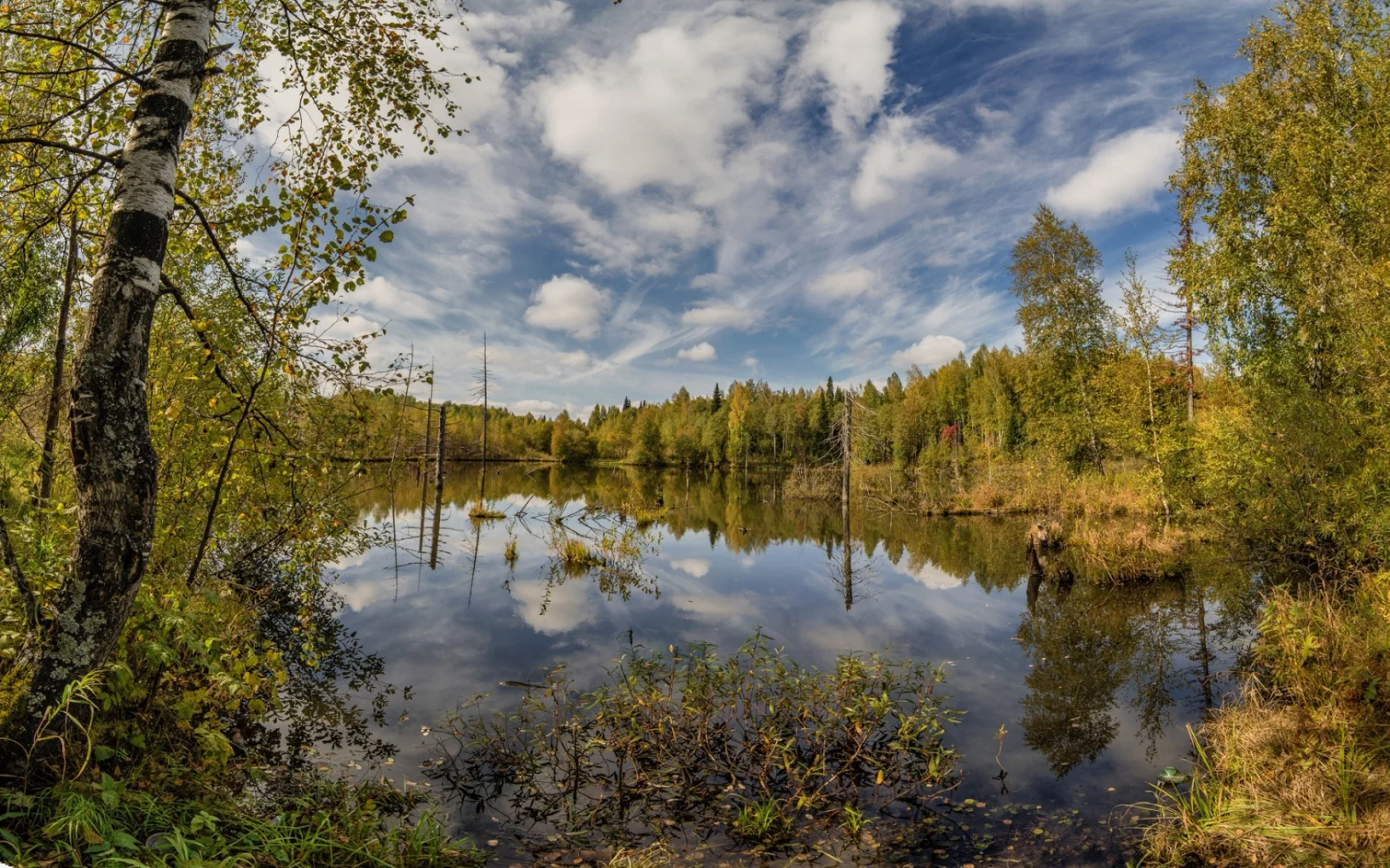 осень, лес, деревья, озерцо, отражние