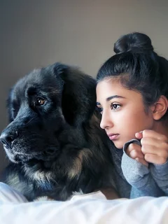 девушка, кофта, собака