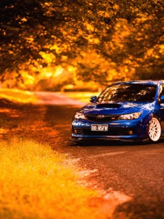subaru, авто, осень, дорога, лес