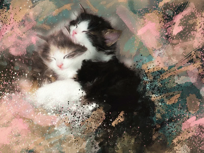 котята, спят, пушистые, черно-белые, картина, акварель, мазки
