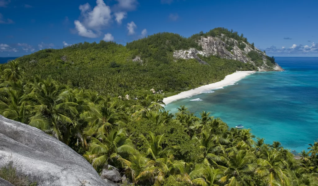 солнце, отдых, beach, океан, пальмы, seyshelles, nord island, palms, лето