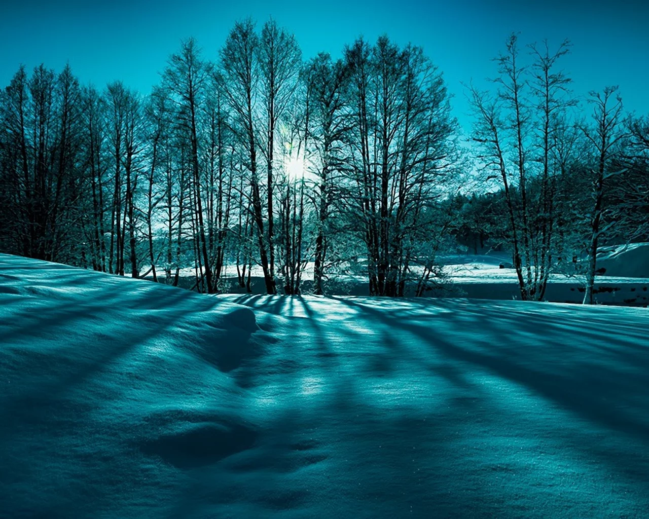 природа, зима, снег, деревья, солнце, лучи