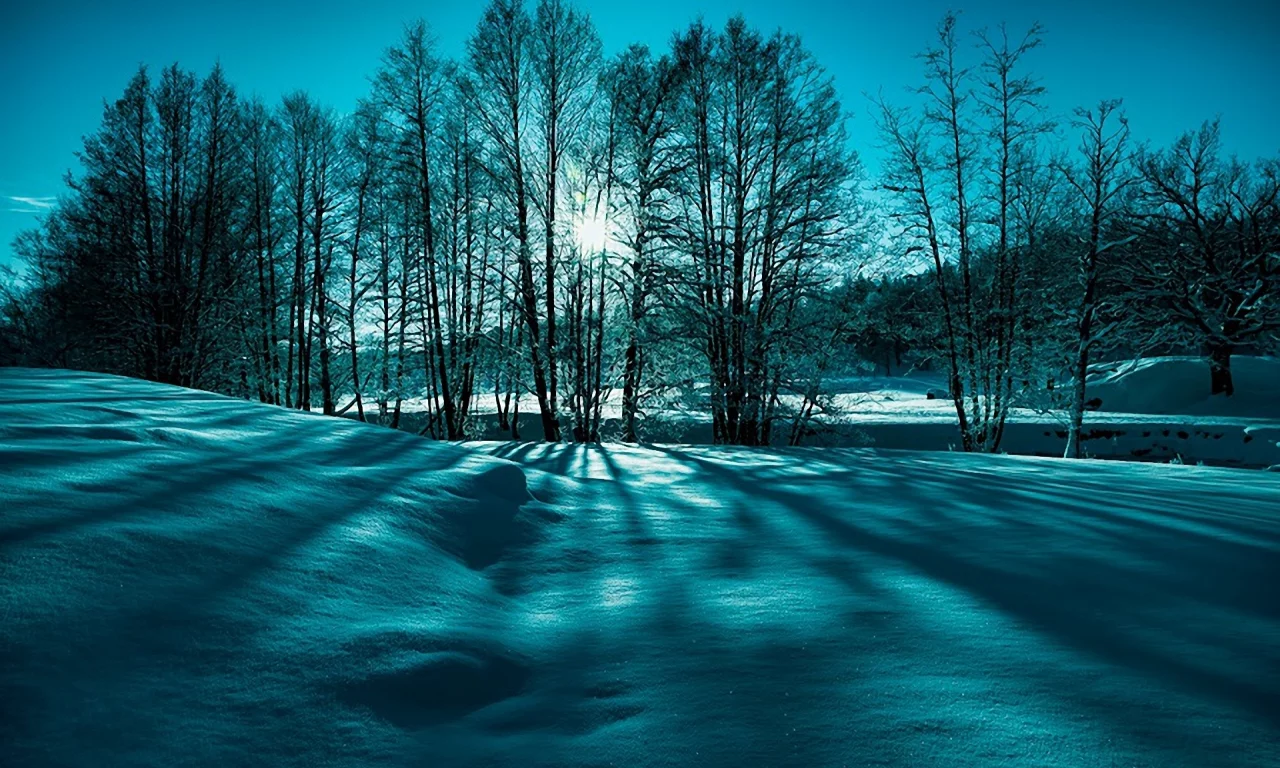 природа, зима, снег, деревья, солнце, лучи