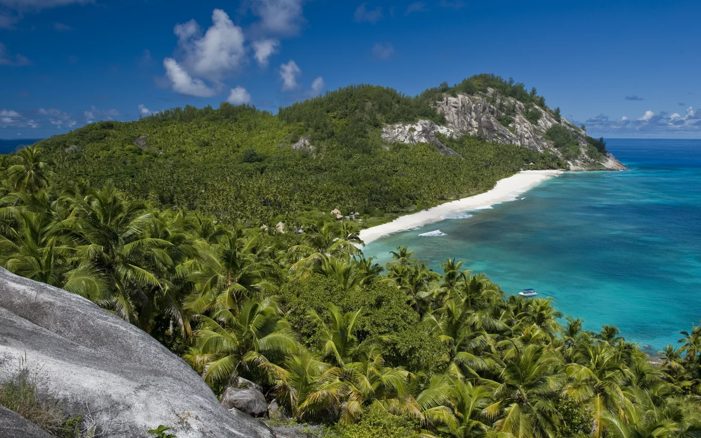 солнце, отдых, beach, океан, пальмы, seyshelles, nord island, palms, лето