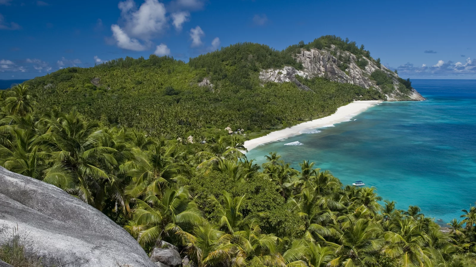 солнце, отдых, beach, океан, пальмы, seyshelles, nord island, palms, лето