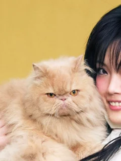 Девушка, азиатка, кот