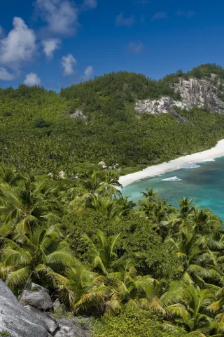 солнце, отдых, beach, океан, пальмы, seyshelles, nord island, palms, лето