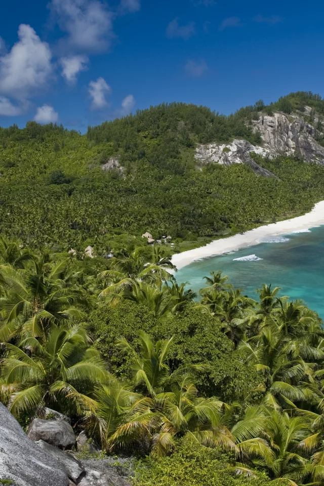 солнце, отдых, beach, океан, пальмы, seyshelles, nord island, palms, лето