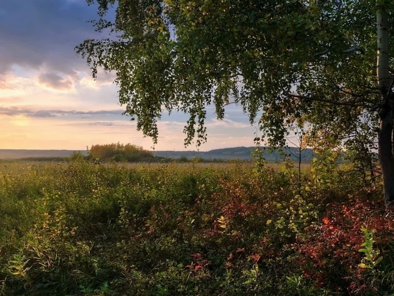 закат, осень