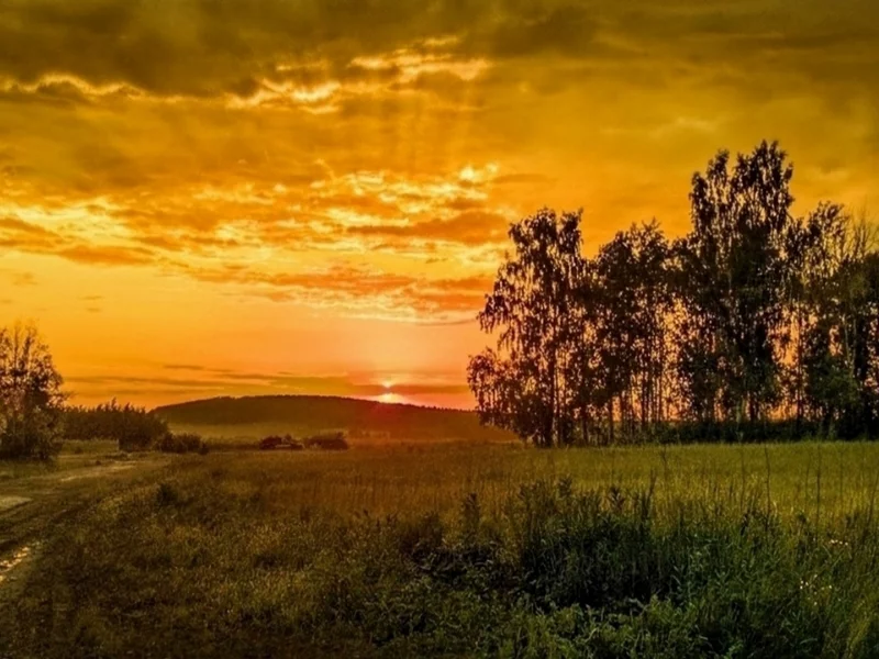 закат, поле, лето