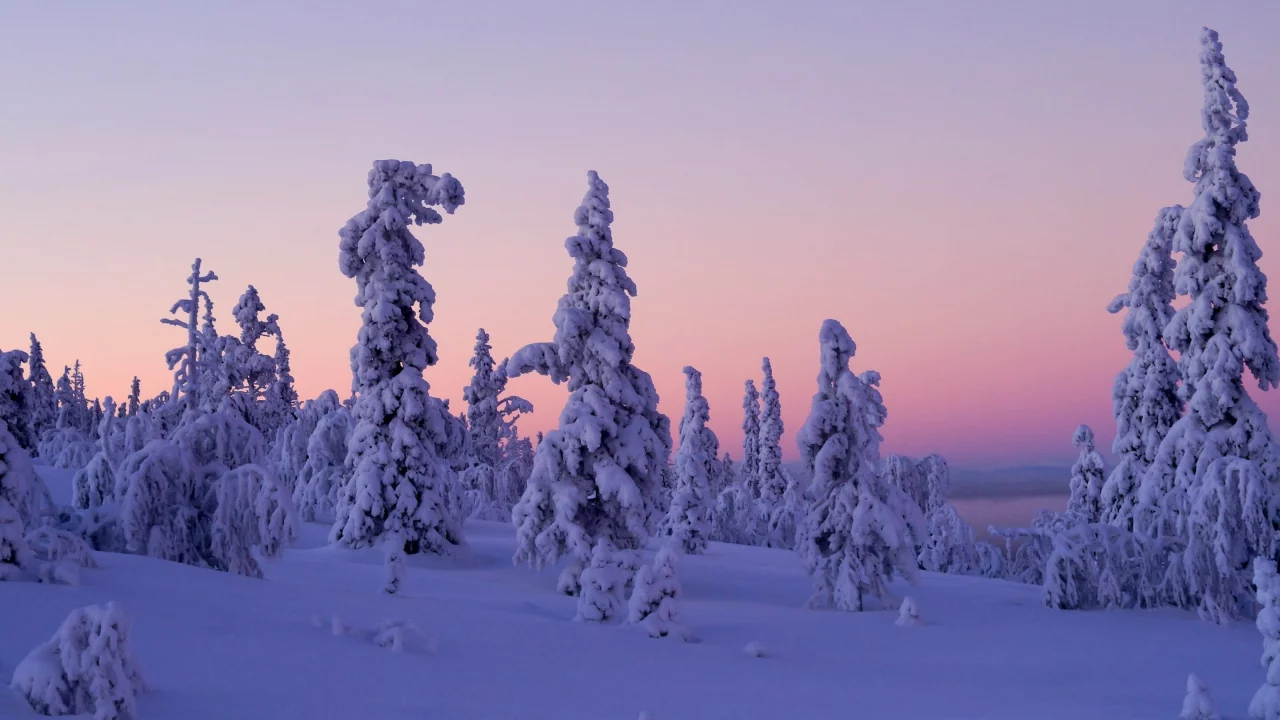 Levi, Lapland, Finland, Леви, Лапландия, Финляндия, зима, снег, деревья, закат