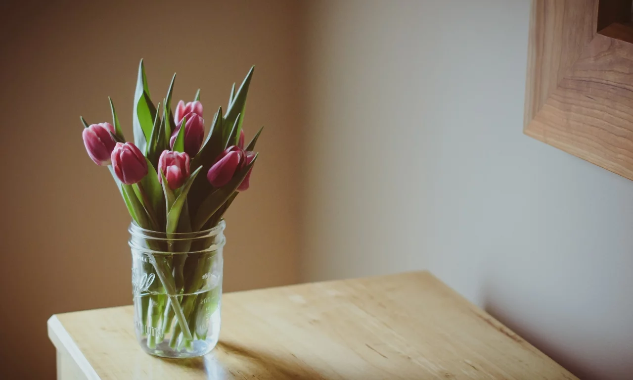 фиолетовые, цветочек, цветы, цветочки, flower, тюльпаны