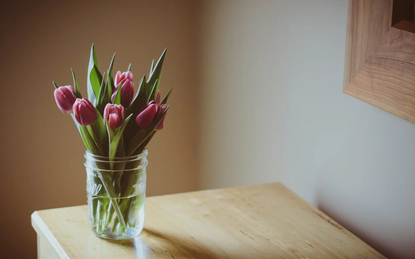 фиолетовые, цветочек, цветы, цветочки, flower, тюльпаны