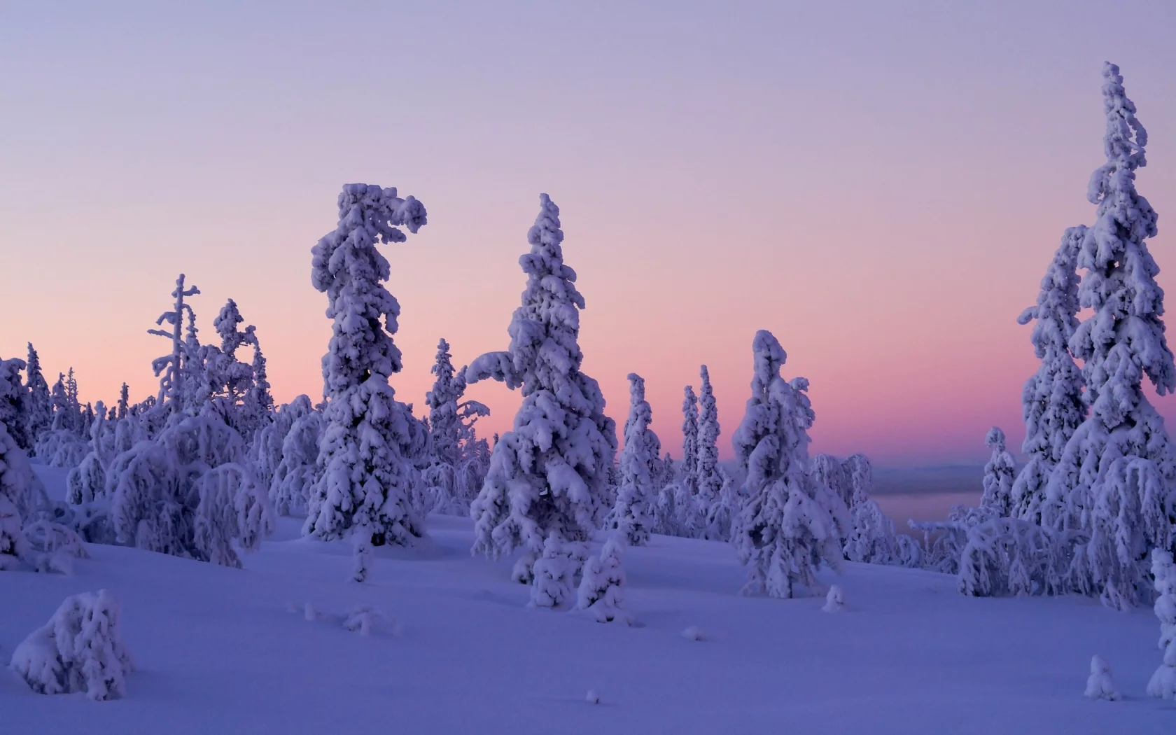 Levi, Lapland, Finland, Леви, Лапландия, Финляндия, зима, снег, деревья, закат