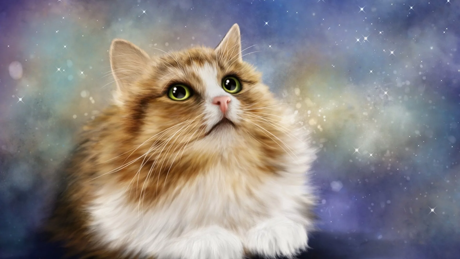 рендеринг, фон, кот, котэ, взгляд, кошка, глаза, свет, животное, мех