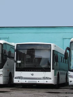 автобус, волжанин, маркополо, белый