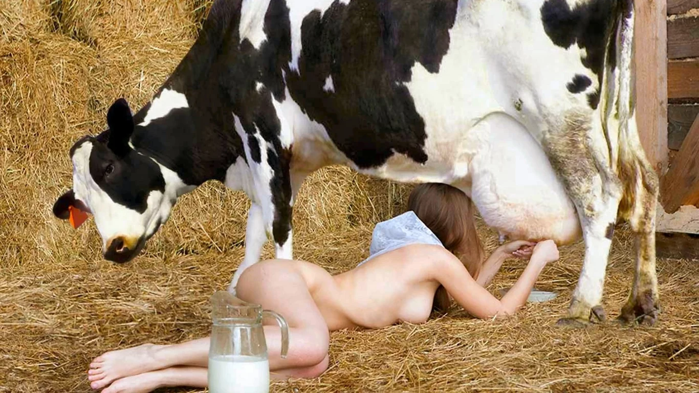 девушка, блондинка, стройная, грудь, природа, корова