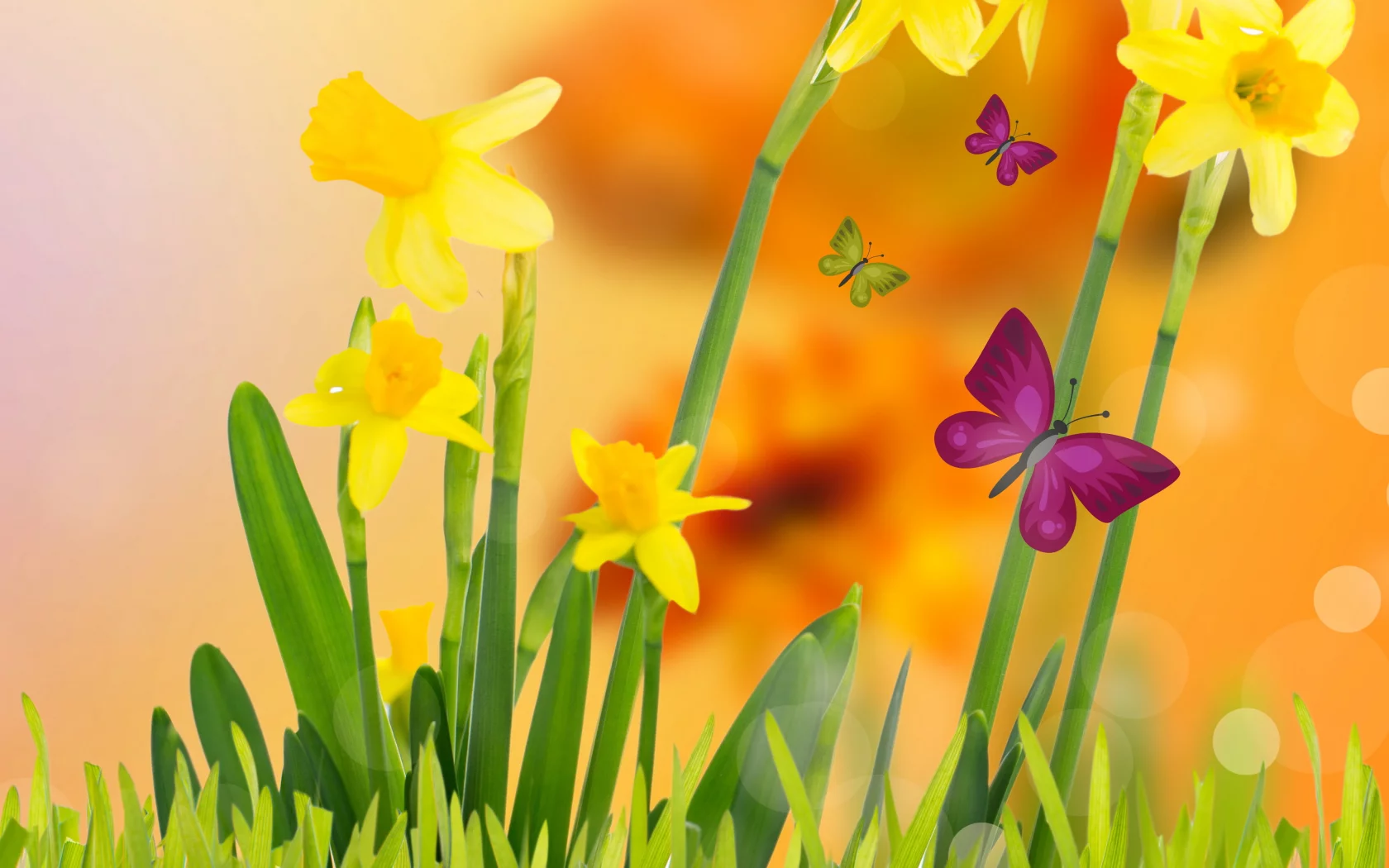 butterflies, meadow, весна, spring, желтые, flowers, yellow, цветы