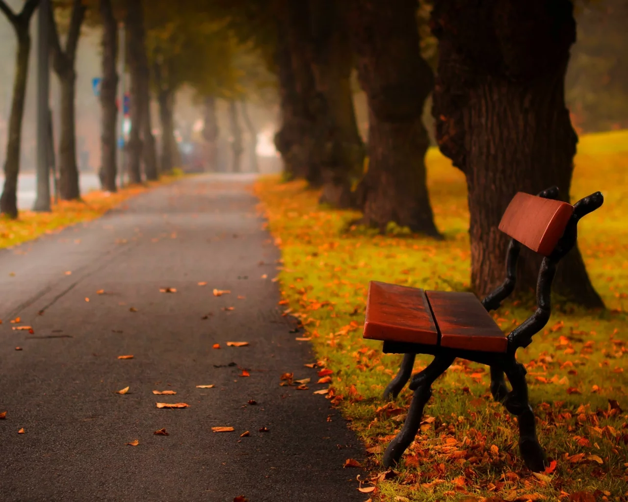 road, hdr, leaves, forest, walk, grass, trees, autumn, листья, colors, park, bench, nature