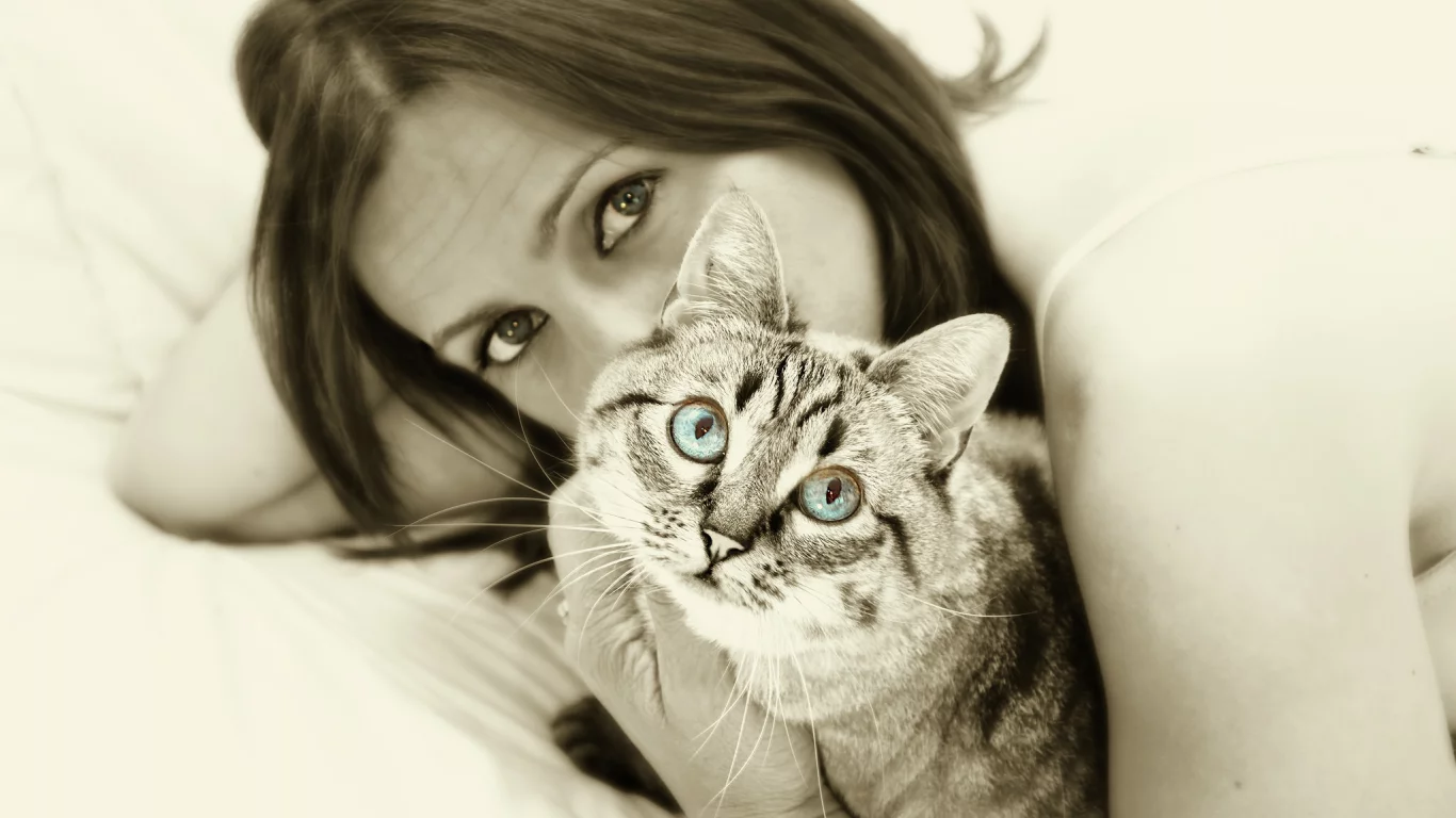 кот, девушка