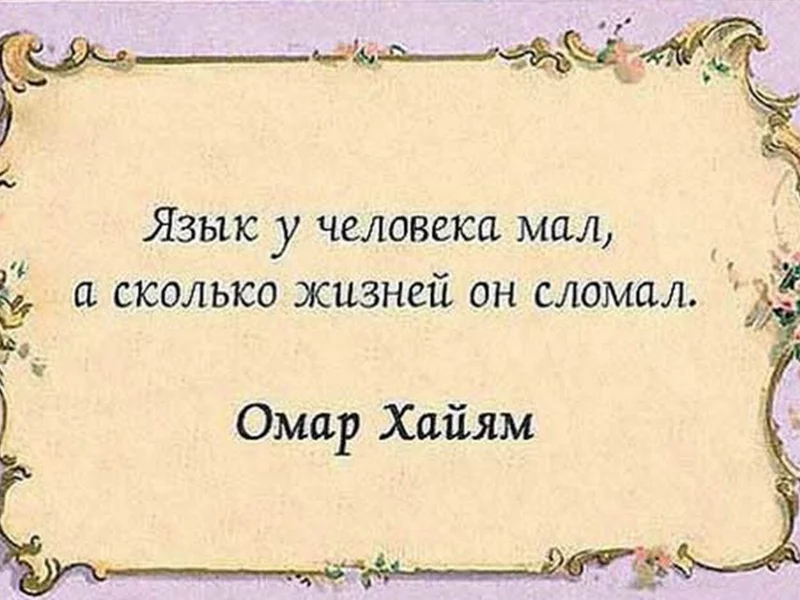 высказывание, афоризмы, мысли