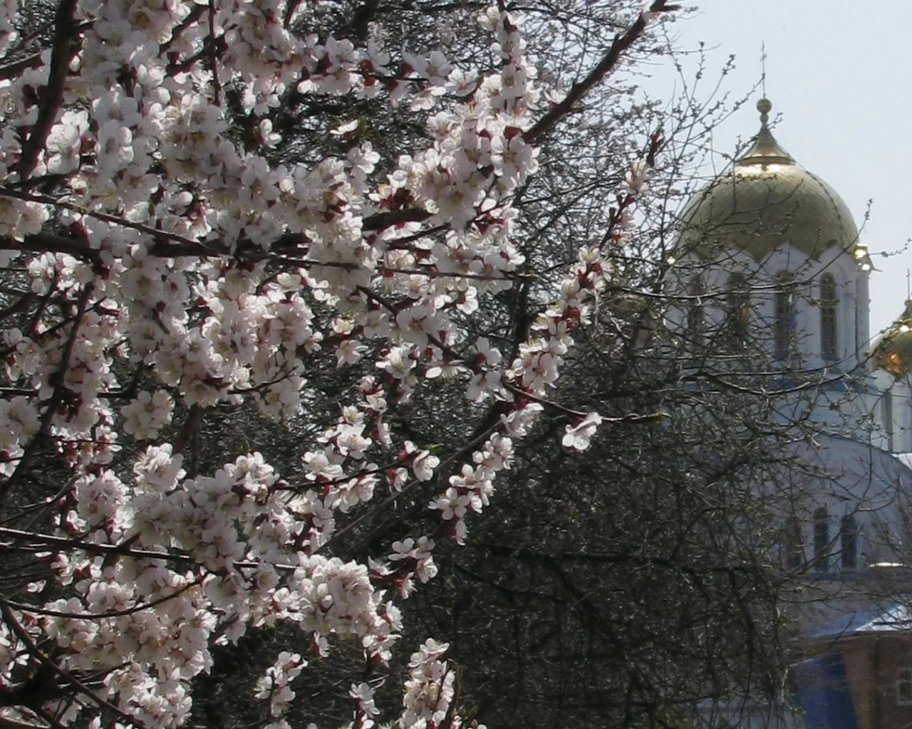 пасха, храм, весна, воскресение