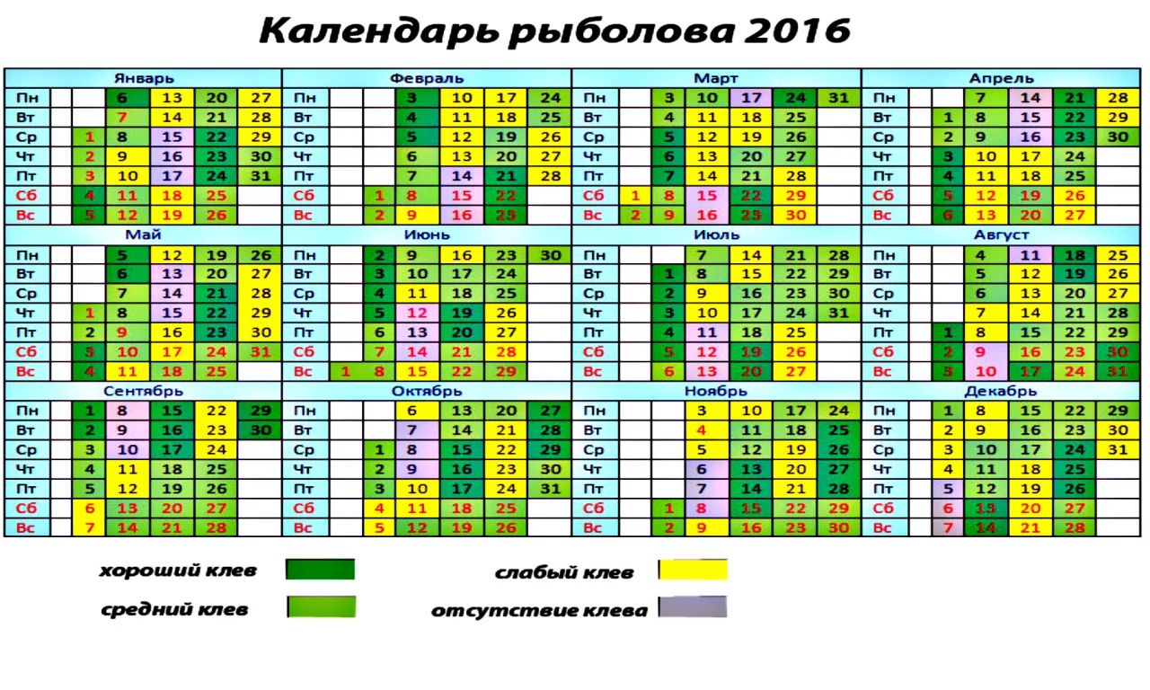календарь, 2016, для рыбаков