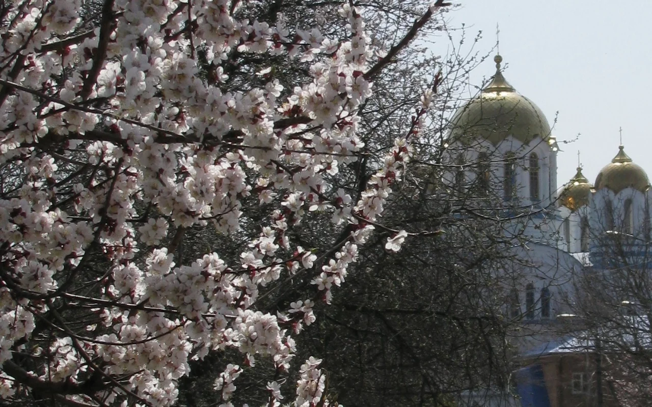 пасха, храм, весна, воскресение