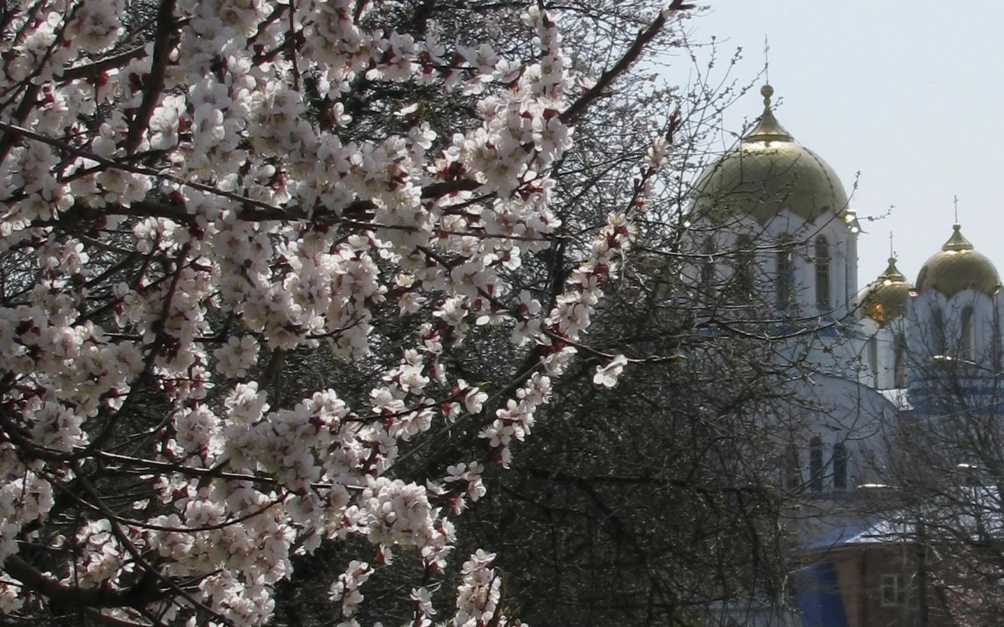 пасха, храм, весна, воскресение