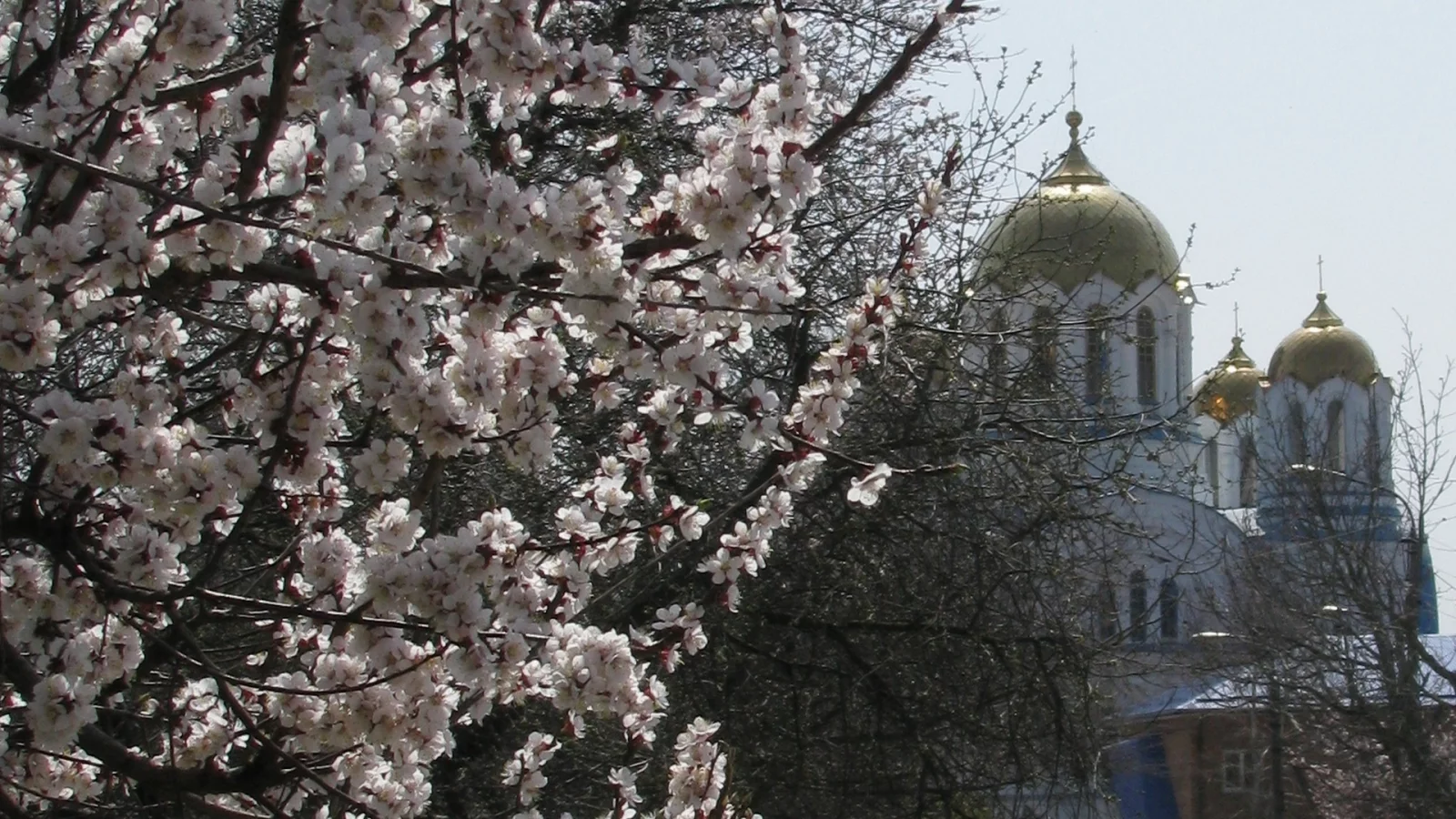 пасха, храм, весна, воскресение