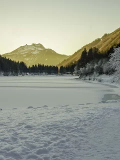 иней, горы, лес, зима, озеро, лед, снег