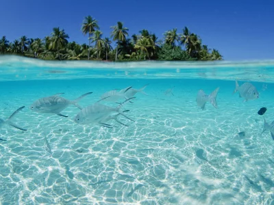 island, остров, sea, jcean, ocean, coast, paradise, tropical, fish, sea, sky, sunshine, emerald, blue, beach, sand, sun, summer, smile