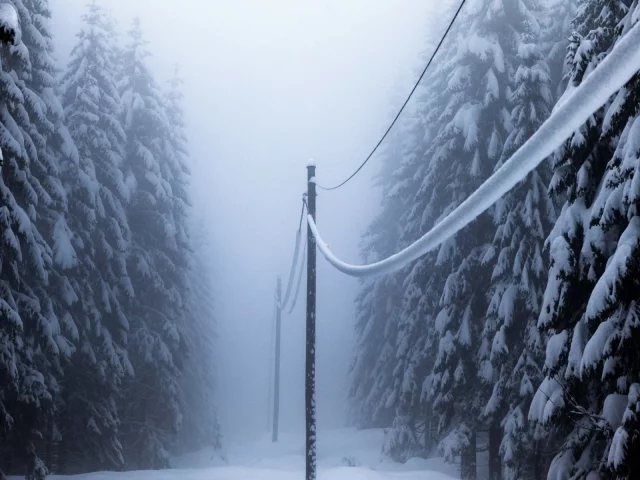 лес, снег, провода