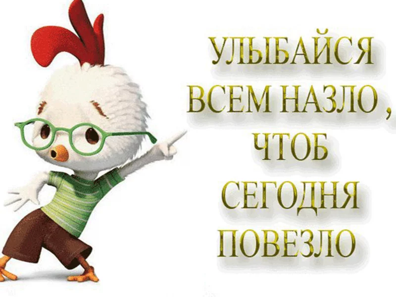 оптимизм, жизнь