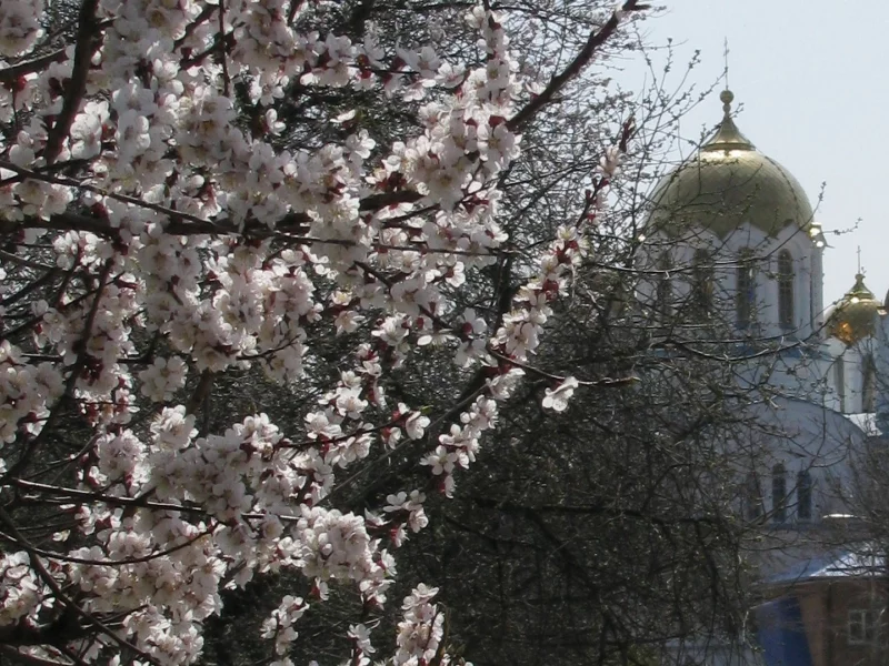 пасха, храм, весна, воскресение