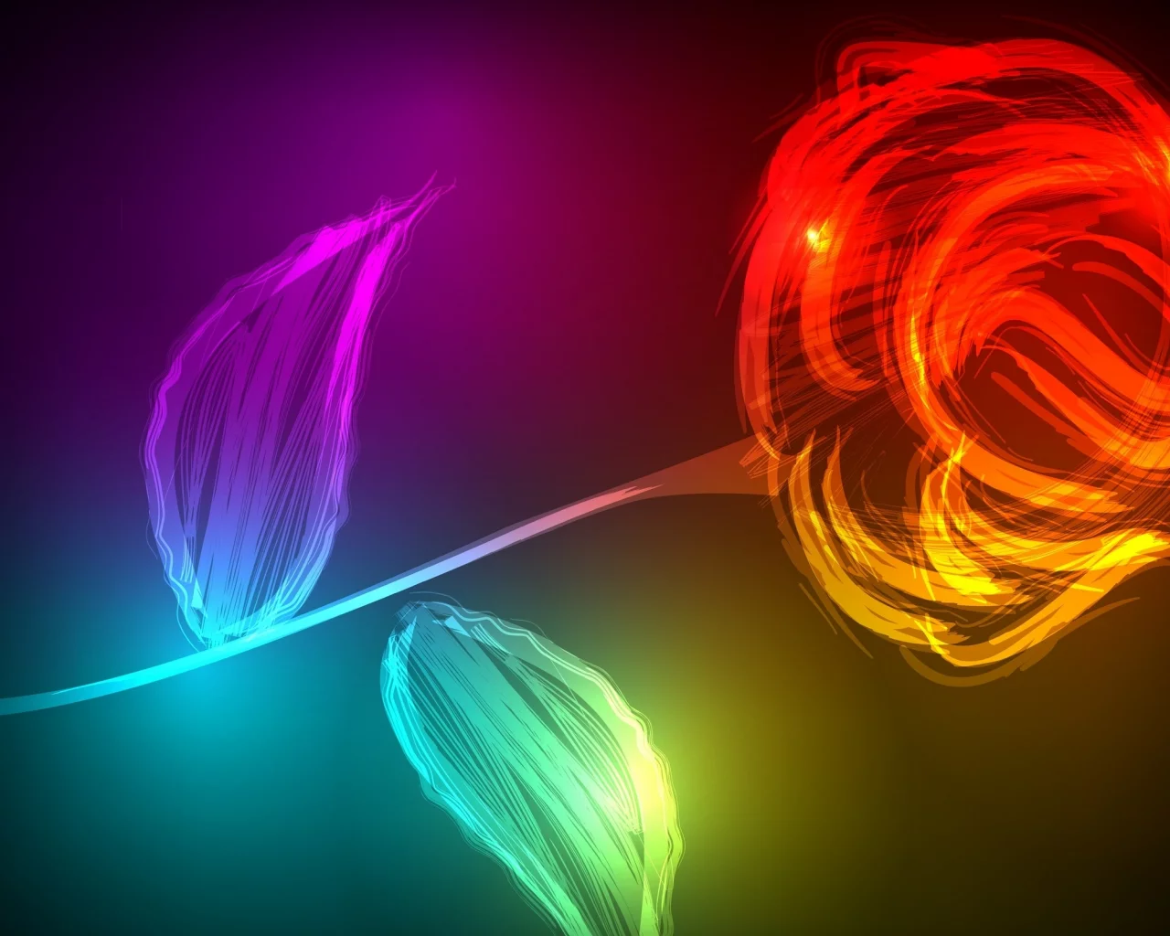 роза, листья, светящаяся, лепестки, красная, red, rose, style