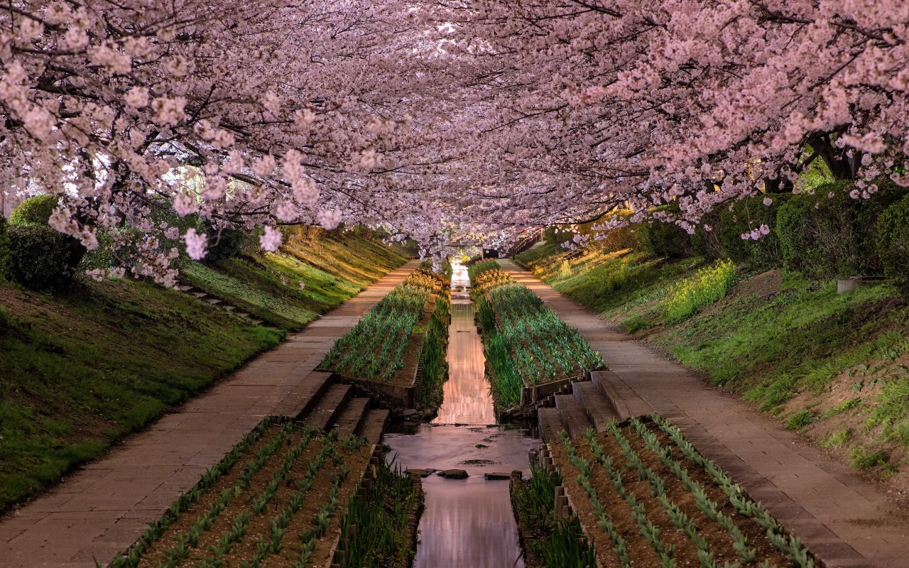 kanagawa prefecture, japan, парк, yokohama-shi, город