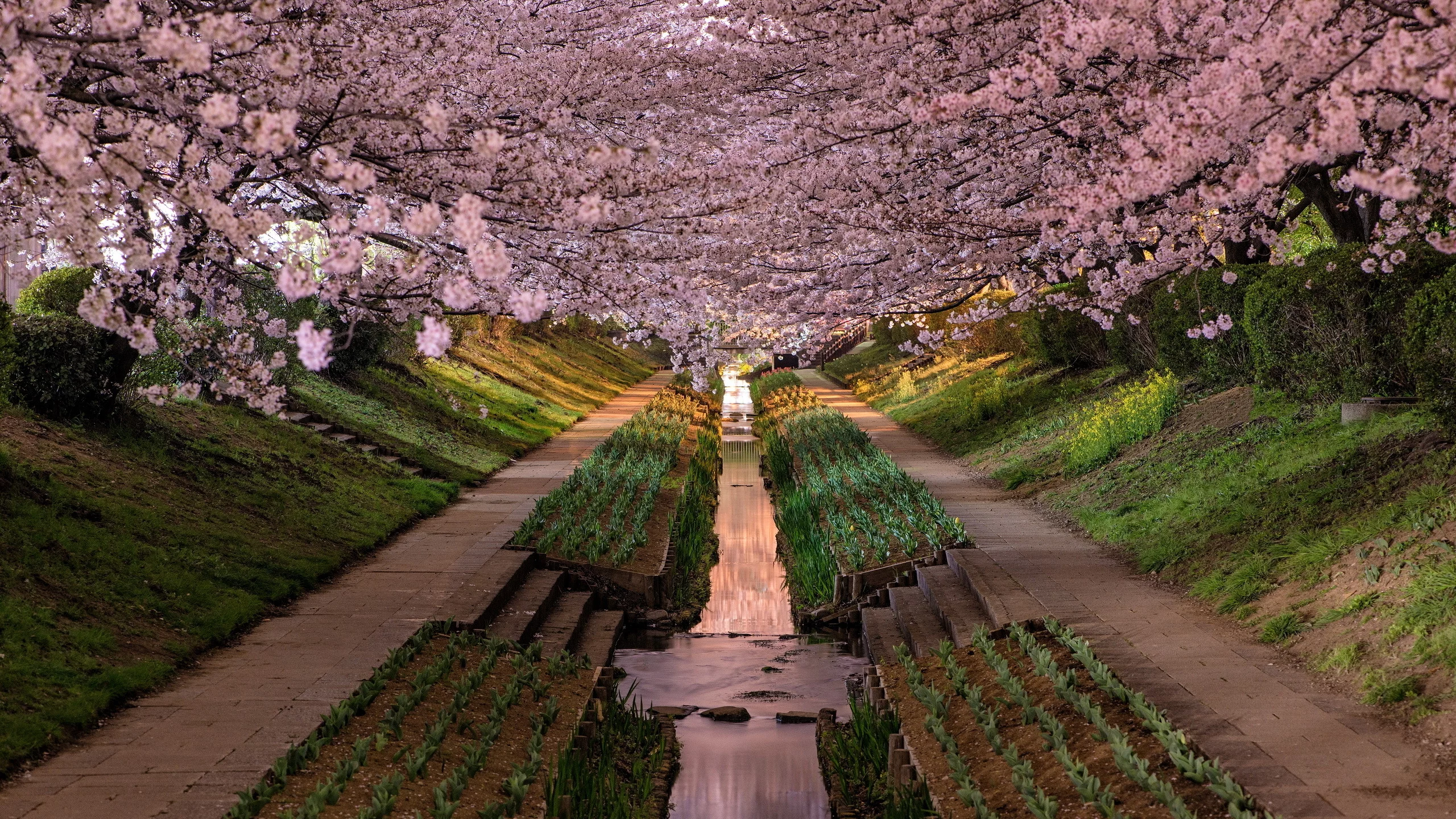 kanagawa prefecture, japan, парк, yokohama-shi, город